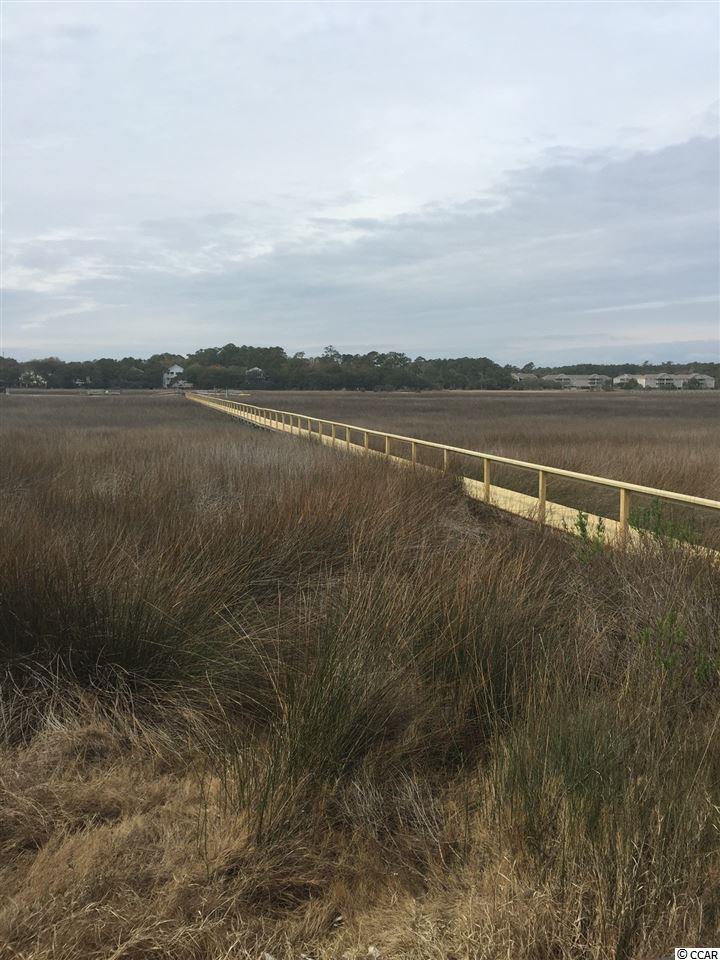222 Inlet Point Drive Pawleys Island, SC 29585 - Photo 5 of 9 Gallery Image 5