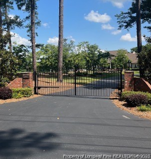 6565 Maxwell Road Stedman, NC 28391 - Photo 5 of 48 a view of a street with a street view