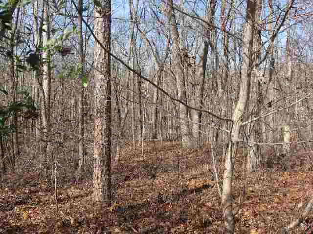 Lot 41 Stillwater, Unit PROMONTORY RIDGE Seneca, SC 29672 - Photo 1 of 6 Gallery Image 1