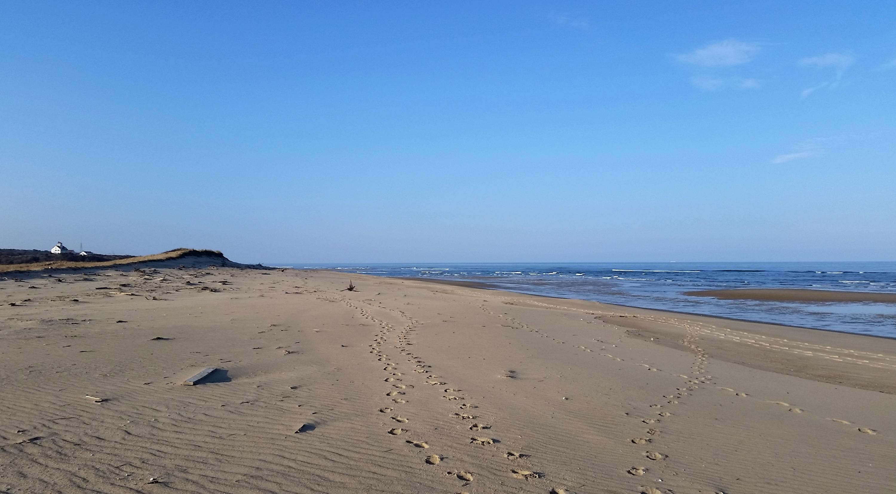 25 Viola Road Eastham, MA 02642 - Photo 21 of 22 Coast Guard Beach