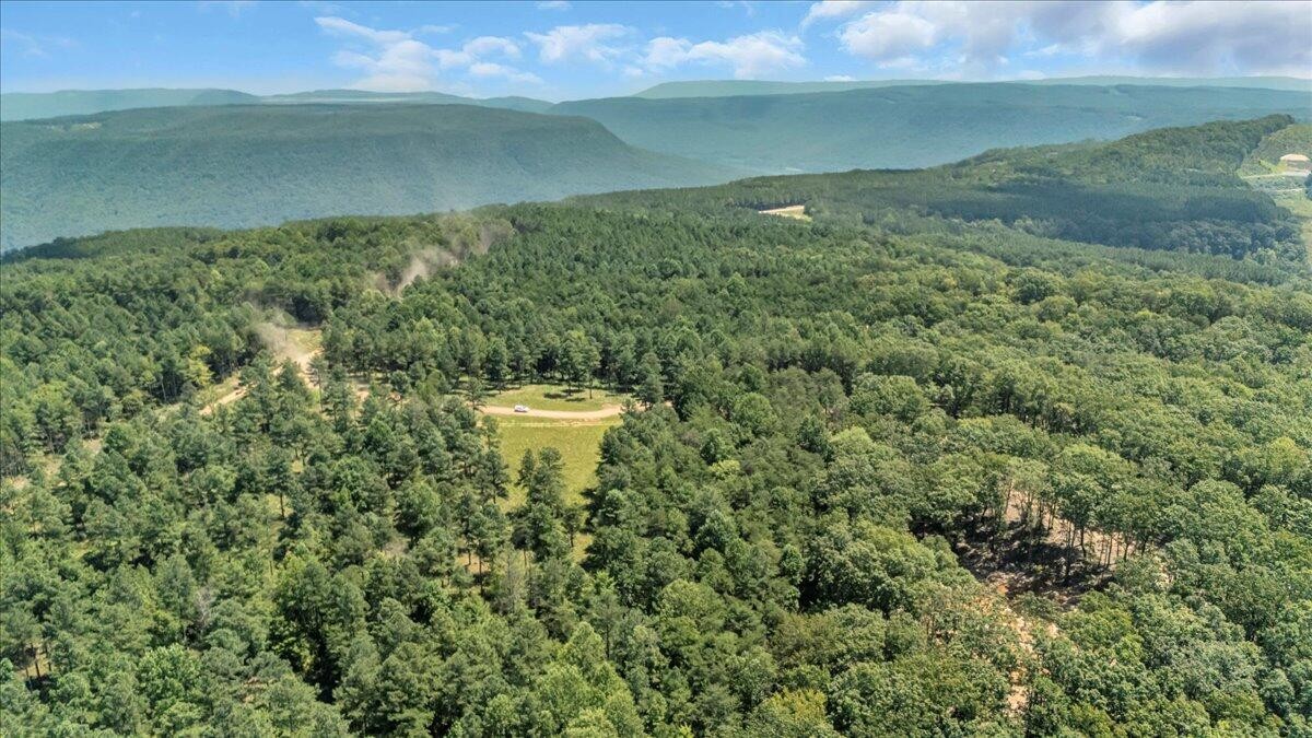 0 Musket Road Guild, TN 37340 - Photo 13 of 16 a view of a lake from a yard