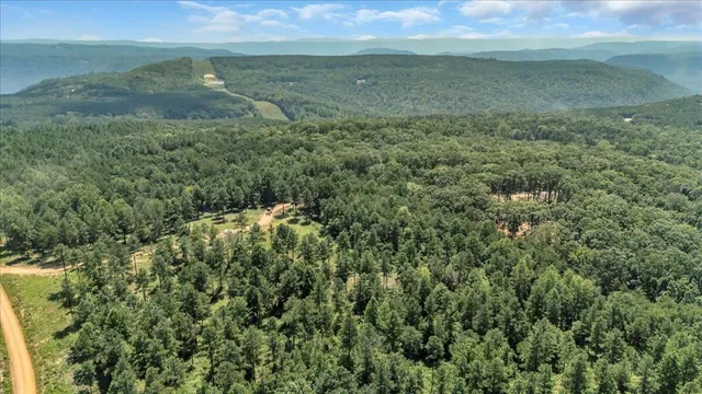 a view of a field of grass and trees