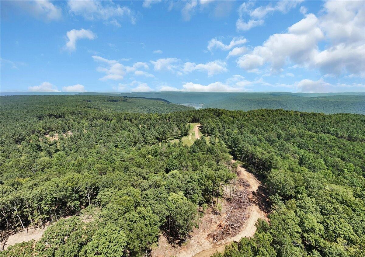 0 Musket Road Guild, TN 37340 - Photo 15 of 16 a view of a yard with an outdoor seating