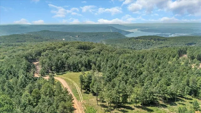 a view of a field with an ocean and trees in the background