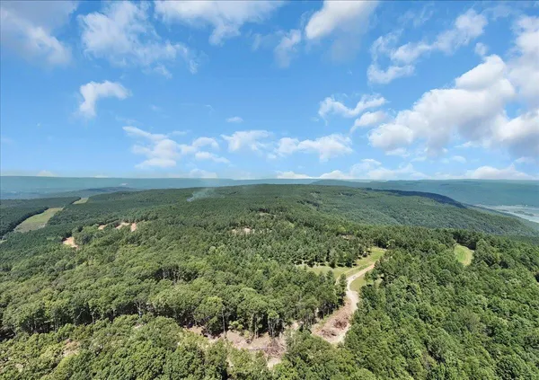 a view of a city with lush green forest