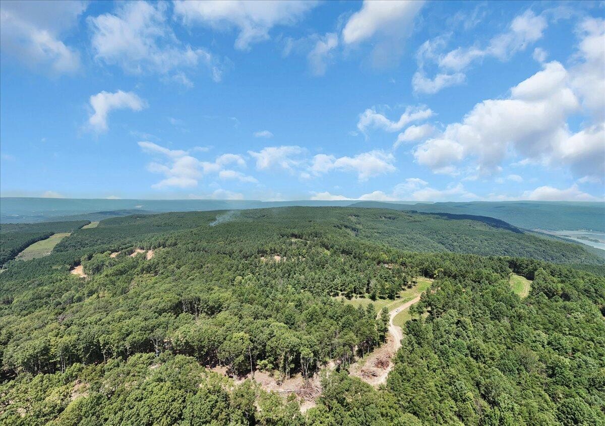 0 Musket Road Guild, TN 37340 - Photo 9 of 16 a view of a city with lush green forest