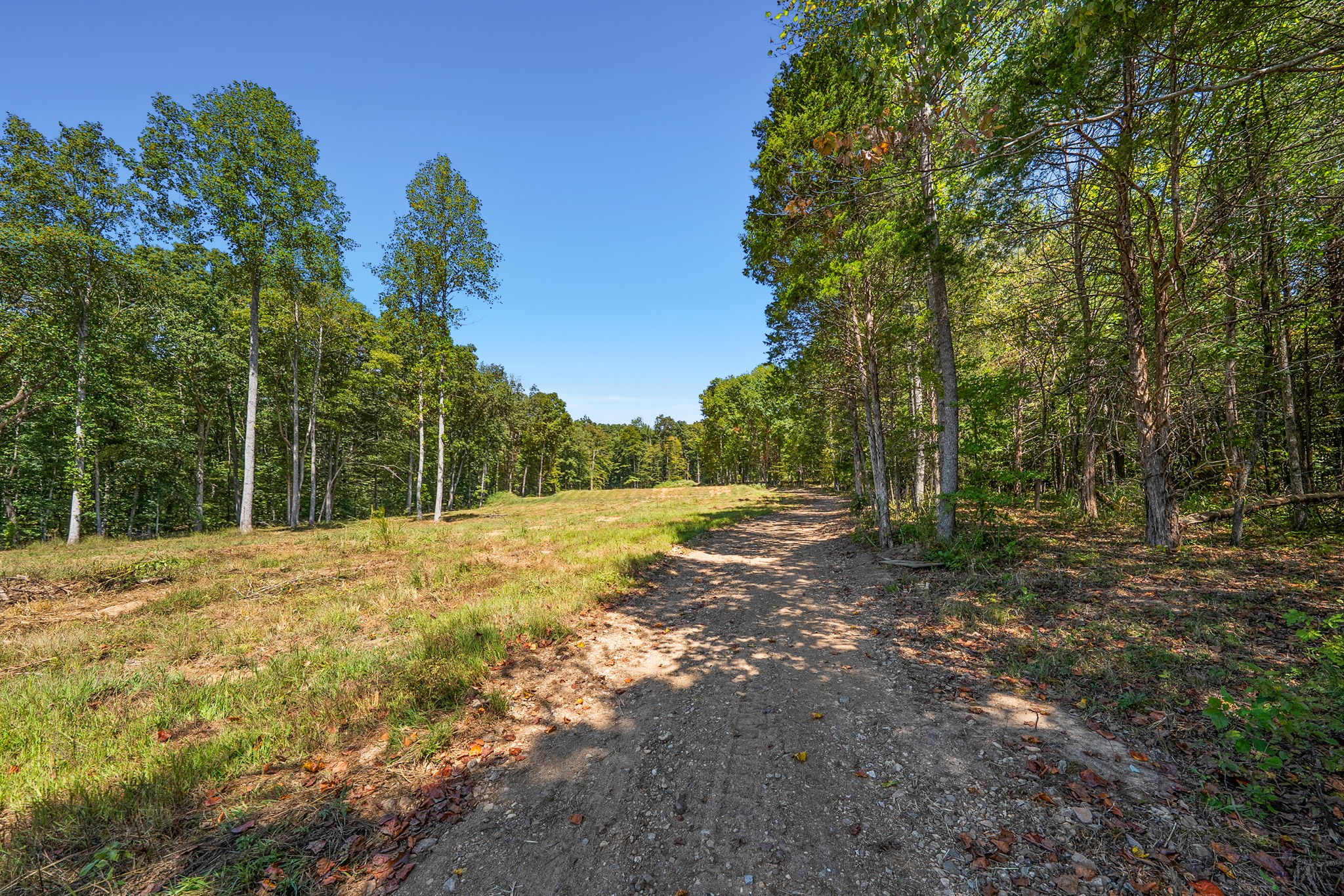 261 Norris Hollow Road Vanleer, TN 37181 - Photo 3 of 18 Gallery Image 3