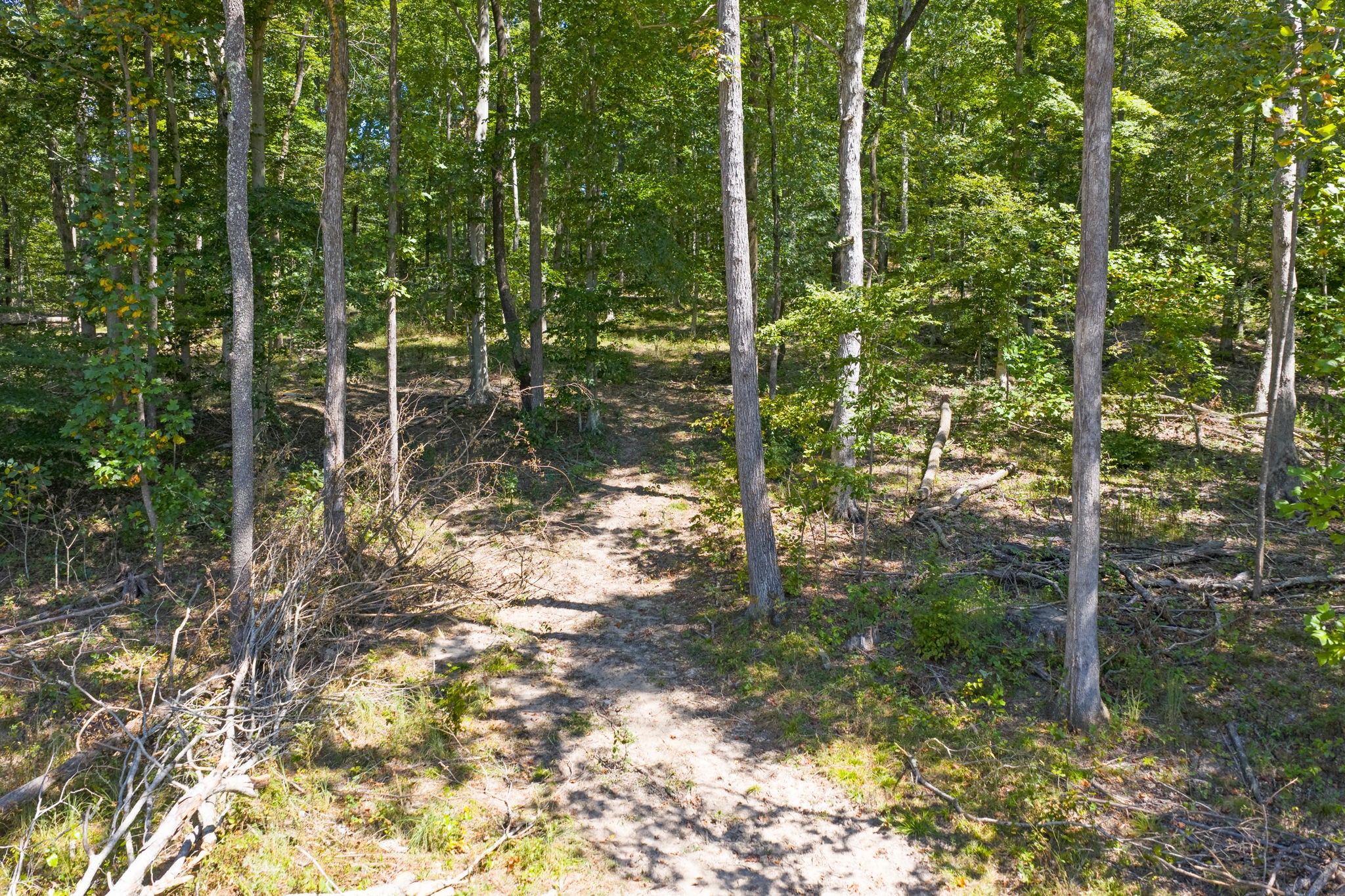 261 Norris Hollow Road Vanleer, TN 37181 - Photo 6 of 18 Gallery Image 6