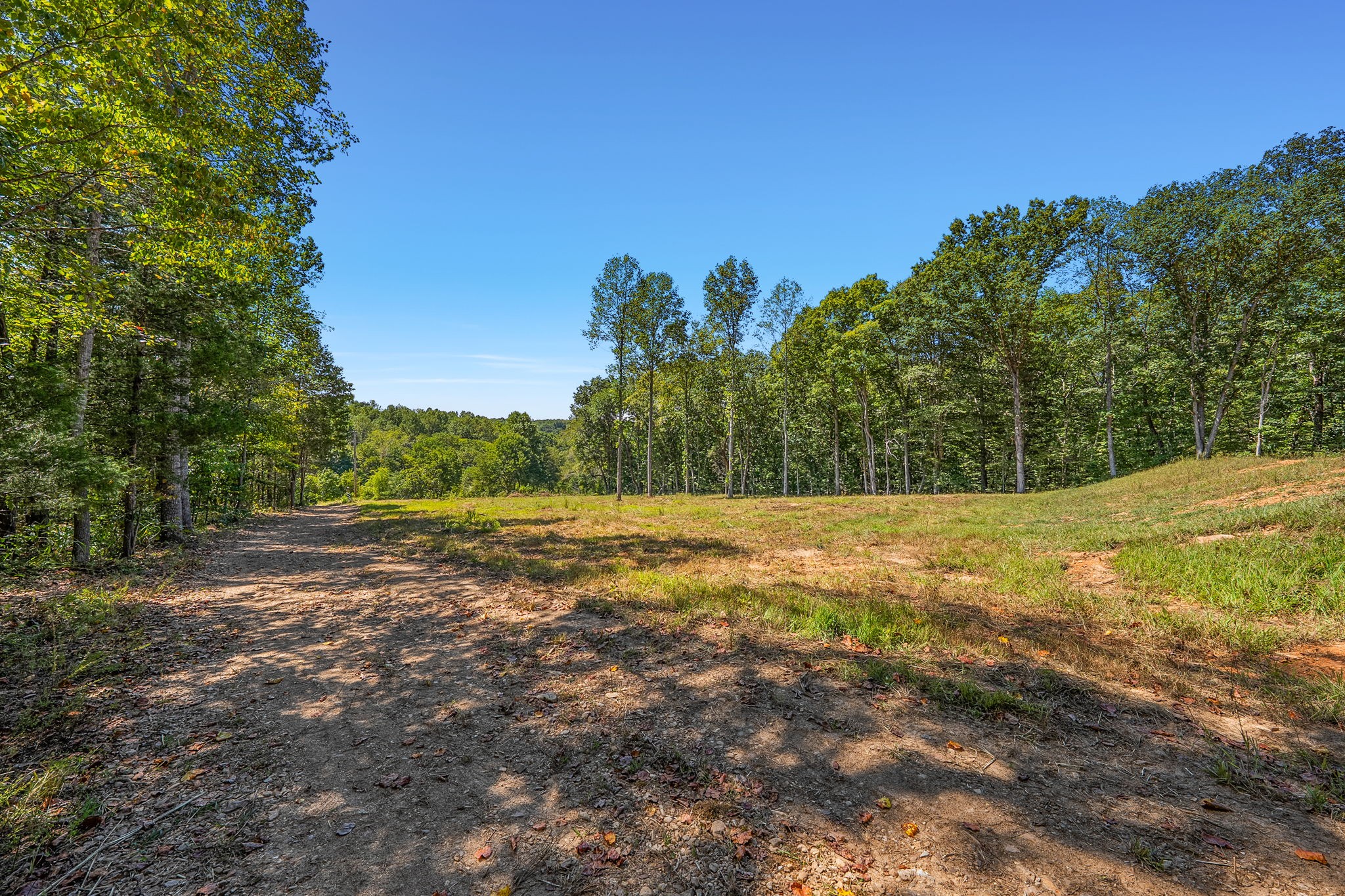 261 Norris Hollow Road Vanleer, TN 37181 - Photo 9 of 18 Gallery Image 9