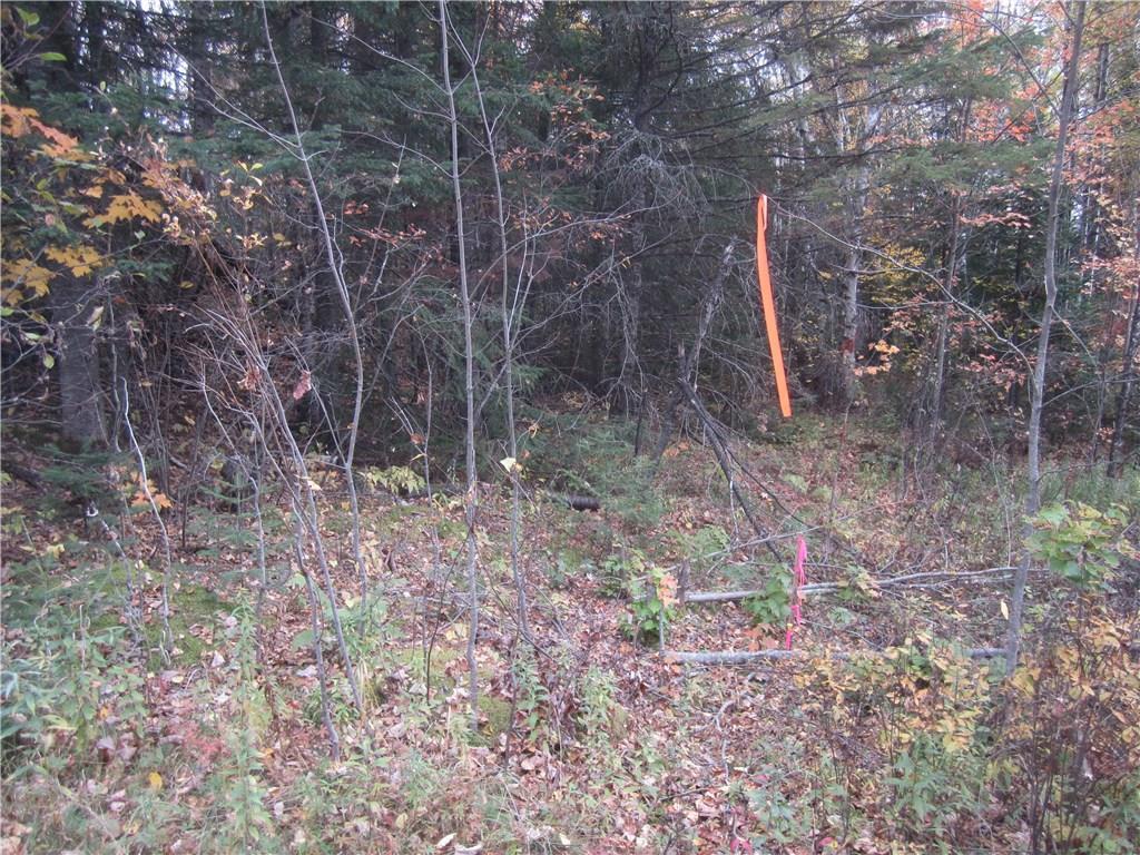 73 Hastings Road Jackman, ME 04945 - Photo 4 of 5 Photo