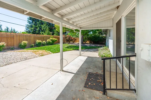 a view of a patio with a large tree
