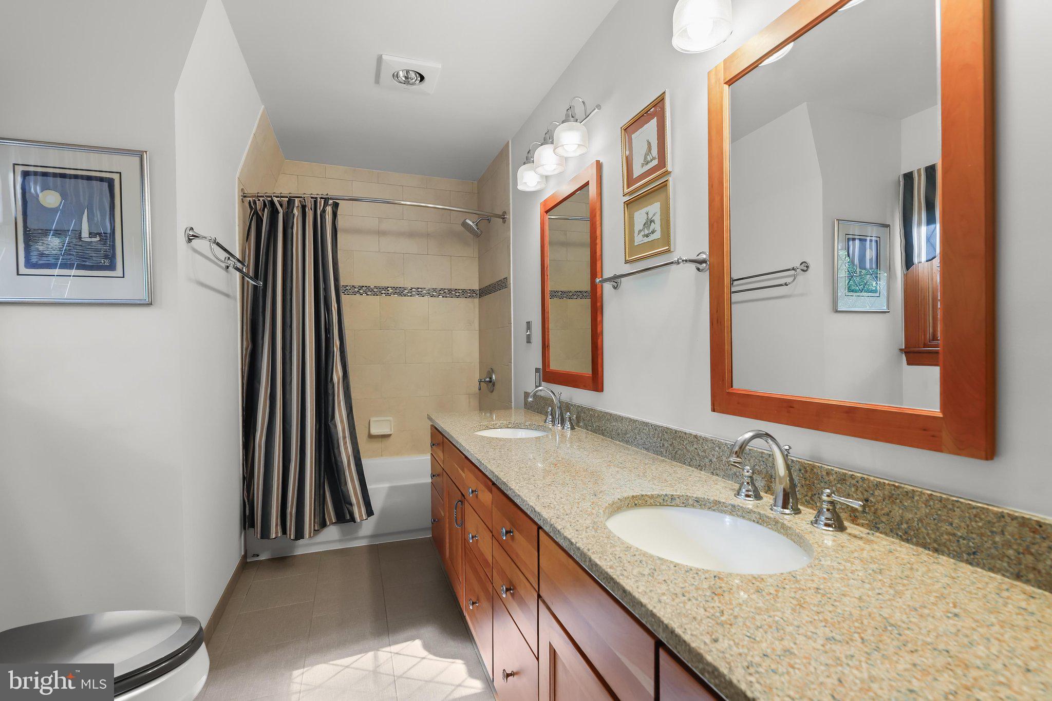 3903 Dance Mill Road Phoenix, MD 21131 - Photo 42 of 79 Full Bath
