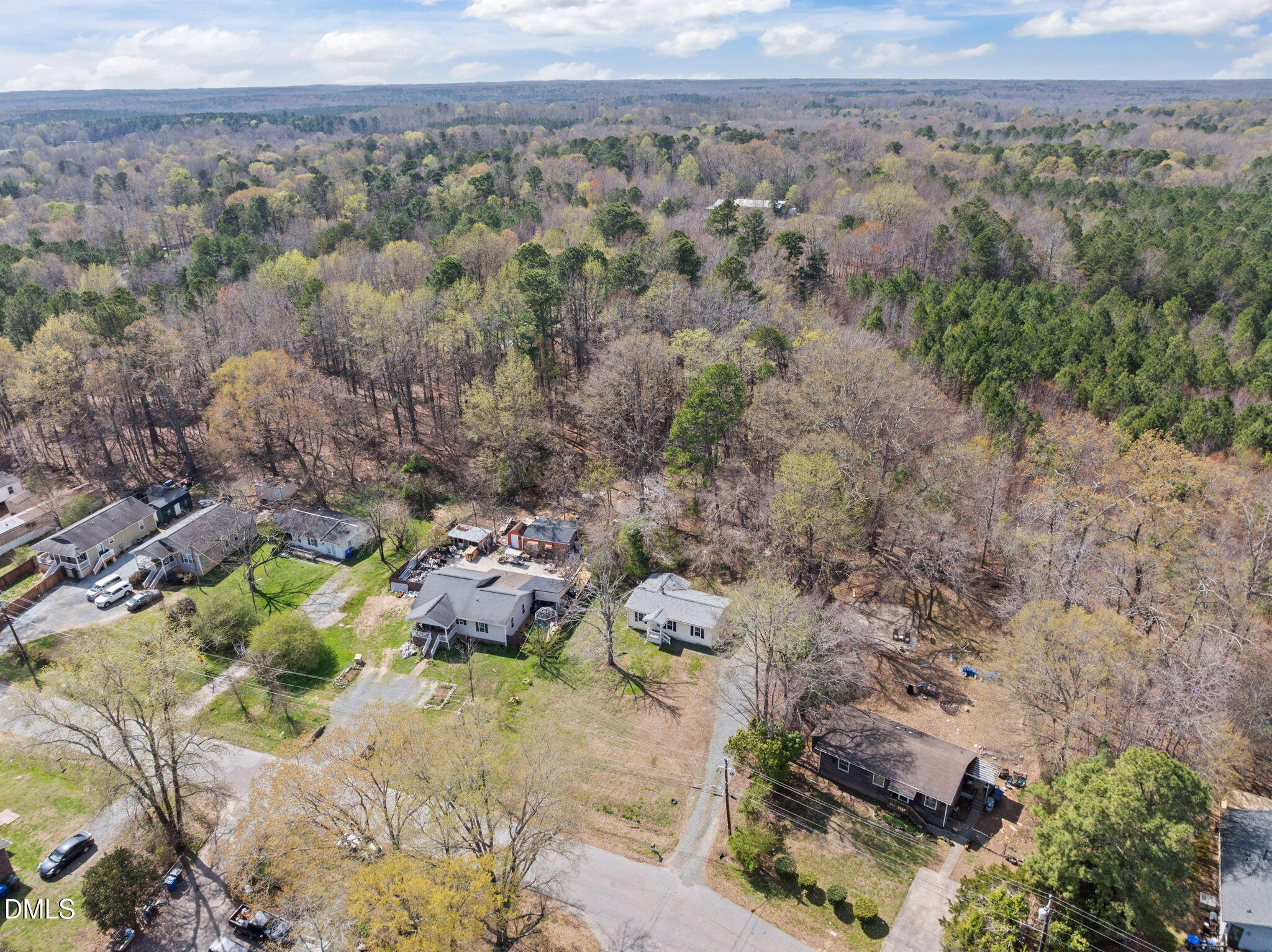 560 Harper Road Hillsborough, NC 27278 - Photo 41 of 44 a view of a forest with a mountain