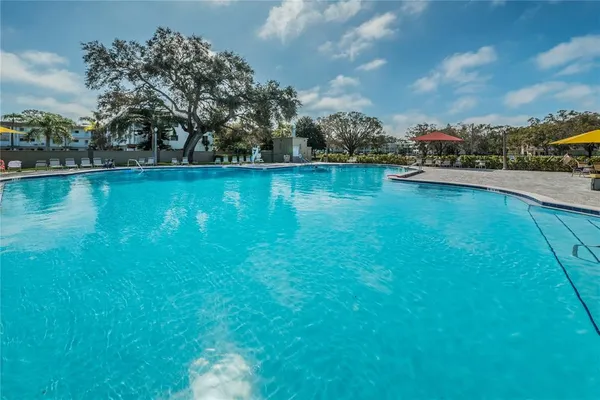 $1,500 | 2040 World Pkwy Boulevard, Unit 12, Clearwater, FL 33763