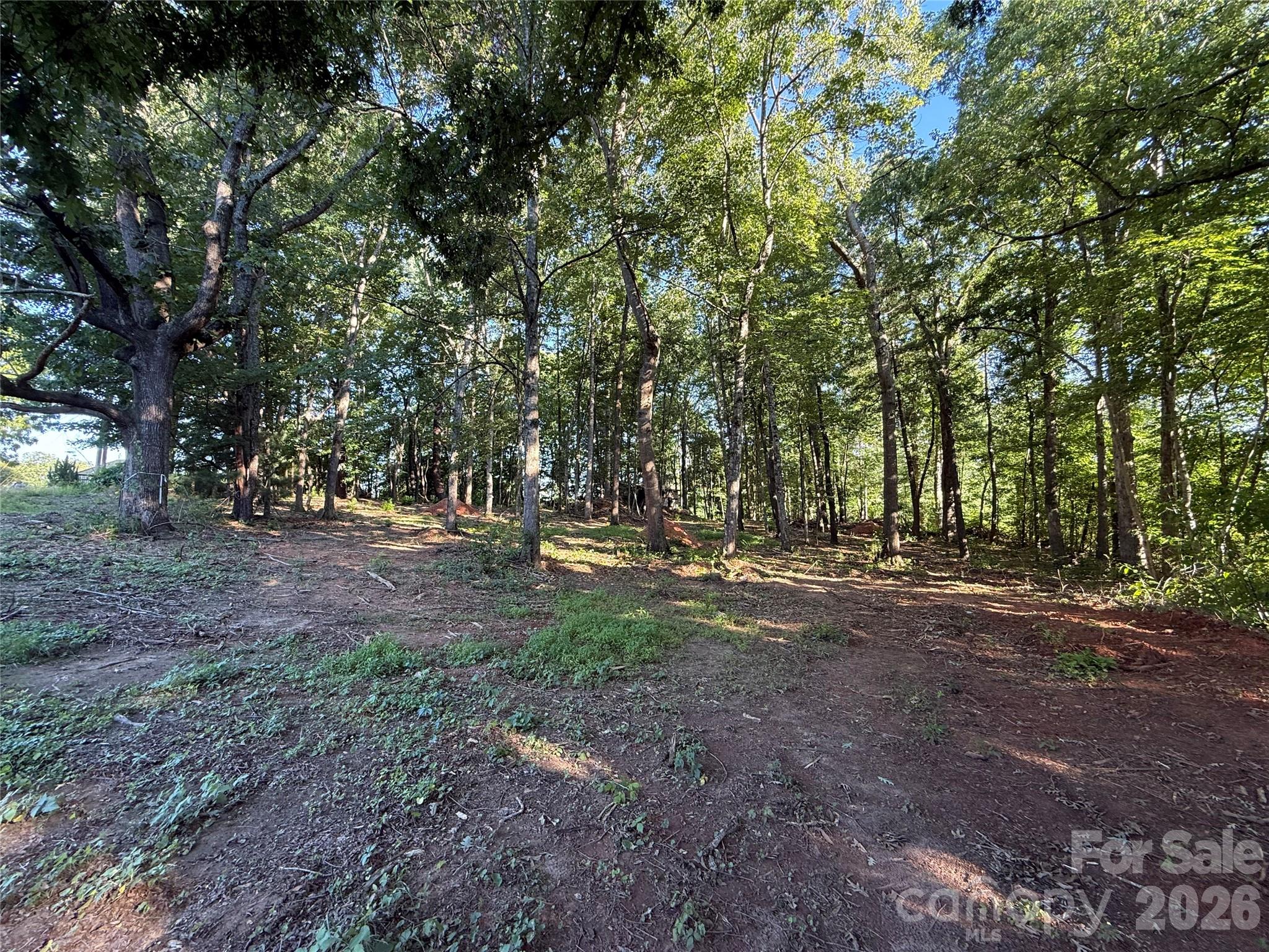 567 Legion Road Lenoir, NC 28645 - Photo 3 of 4 a view of a tree in the middle of a forest