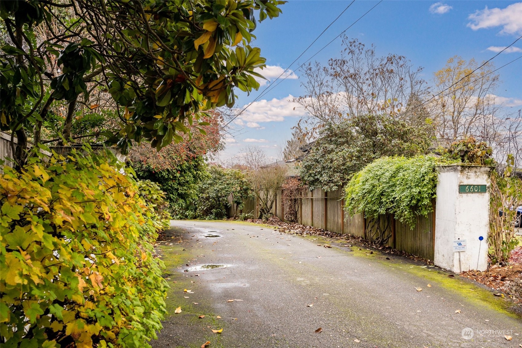 6601 Northeast Windermere Road Seattle, WA 98115 - Photo 11 of 29 a pathway of a house with a yard