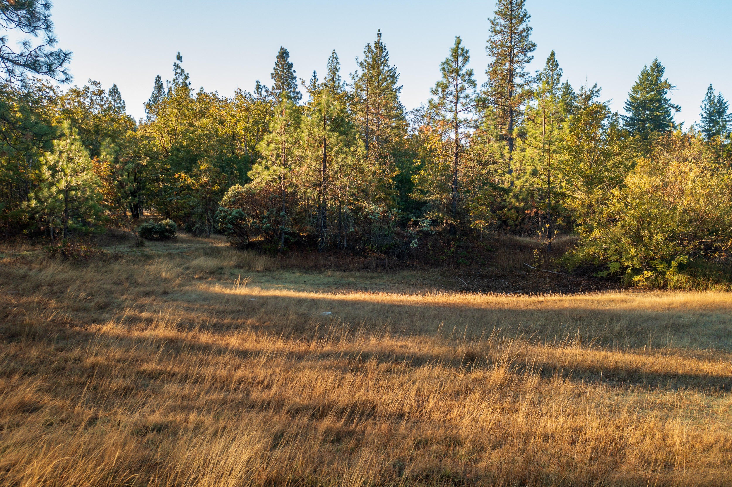 1070 Waldo Road O'Brien, OR 97534 - Photo 27 of 29 26