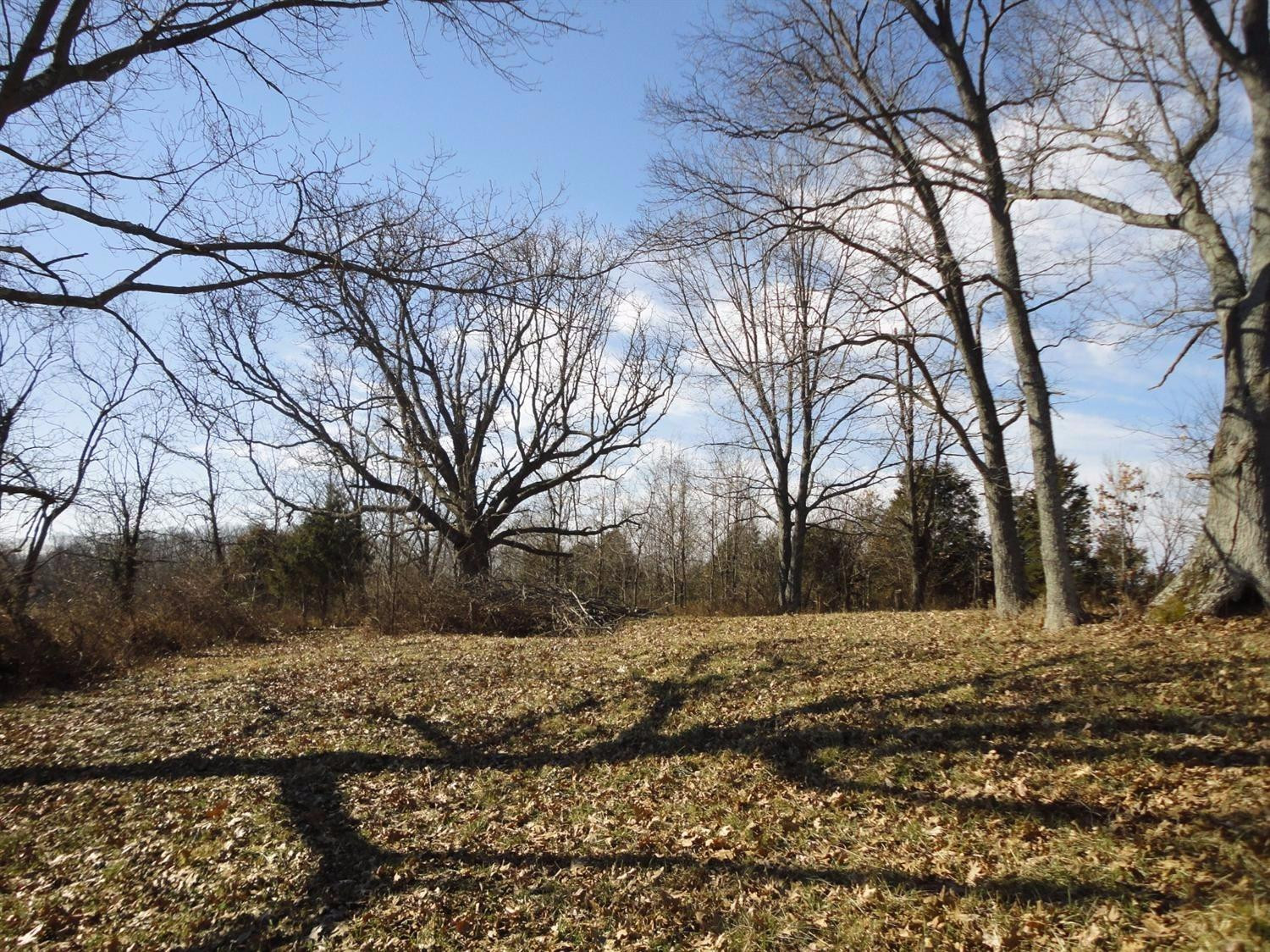 12052 Pleasant Ridge Road Alexandria, KY 41001 - Photo 12 of 16 Gallery Image 12