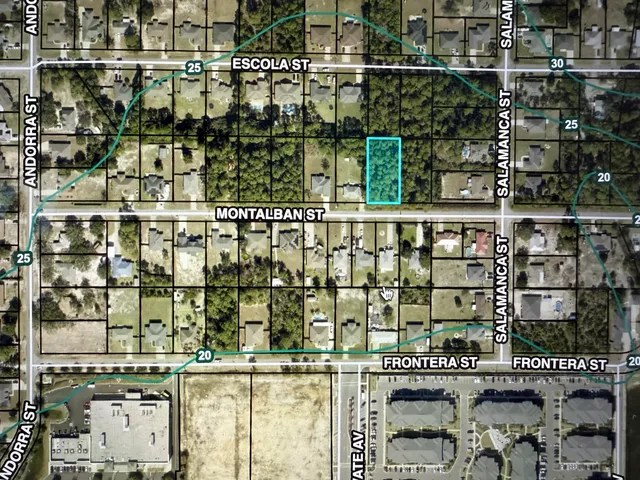 a view of a forest with lots of trees