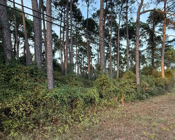 a view of a swimming pool