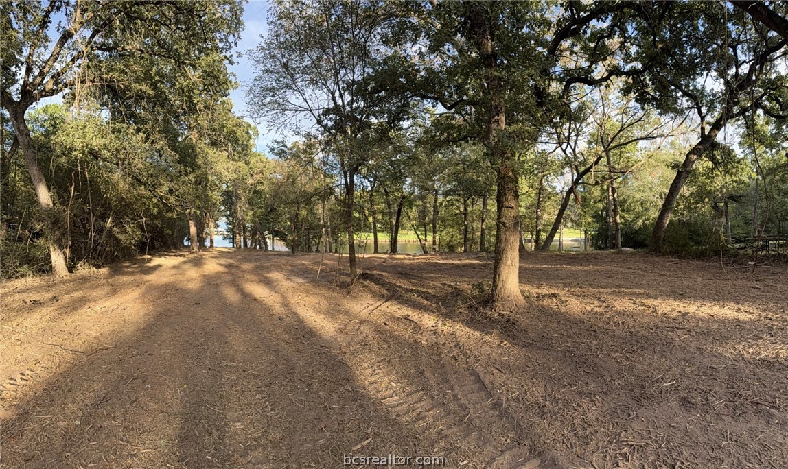 9389 Haney Road Franklin, TX 77856 - Photo 10 of 47 Gallery Image 10