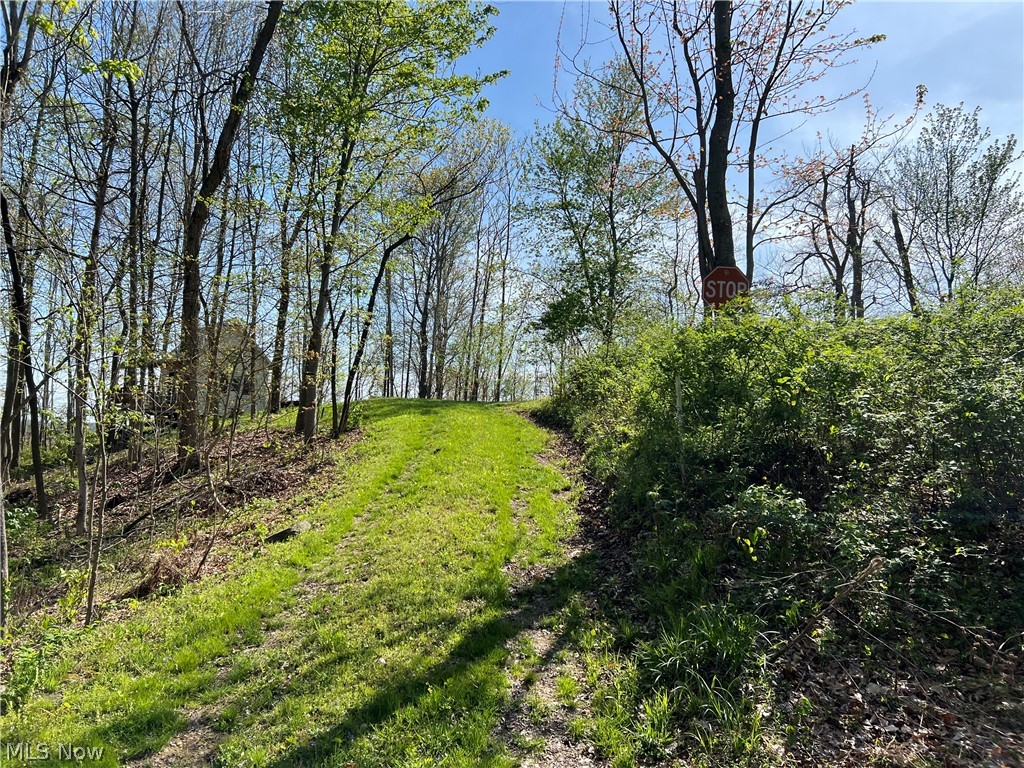 Boone Road Kimbolton, OH 43749 - Photo 10 of 30