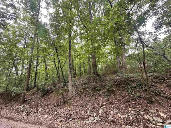 $50,000 | Lot 24 Oakhill Drive Northwest, Unit 24, Cullman, AL 35055