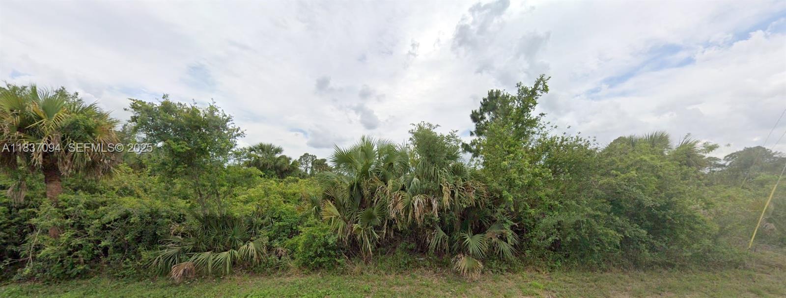 1230 Amherst Street East Lehigh Acres, FL 33974 - Photo 2 of 3 a view of a bunch of trees in a field