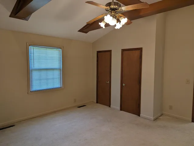 a view of a trees in a park