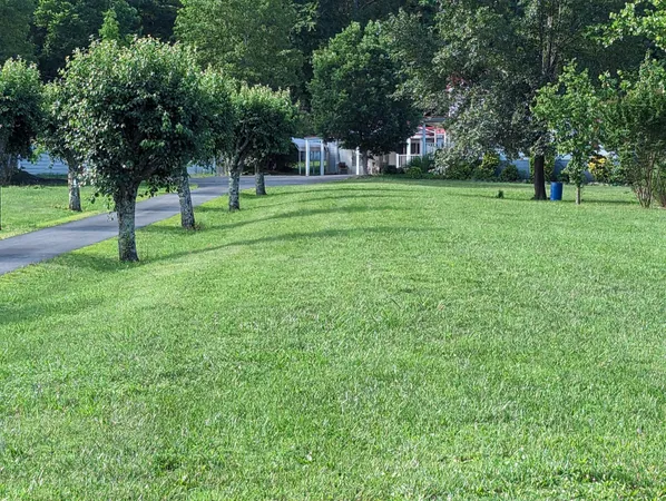 a backyard of a house with lots of green space