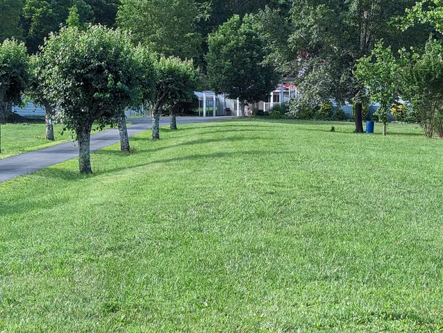 a backyard of a house with lots of green space