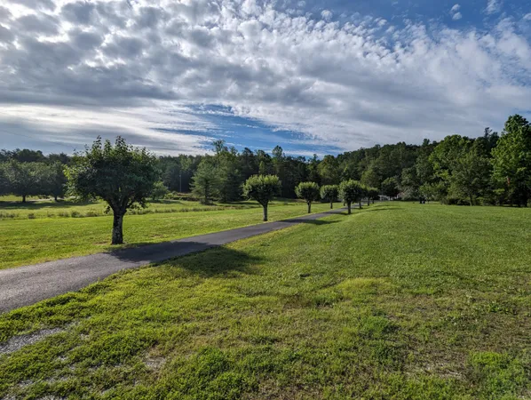 a view of a back yard