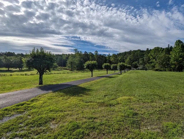 a view of a back yard