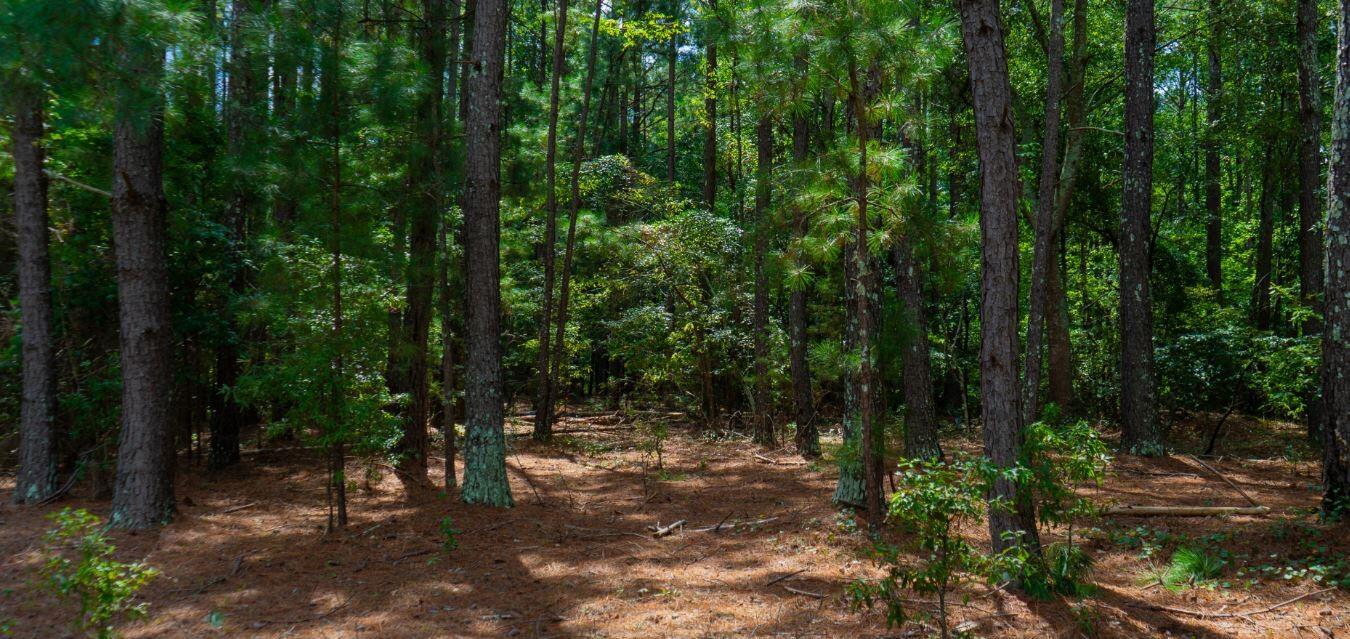 0 Eastview Road Edgefield, SC 29824 - Photo 6 of 7 6