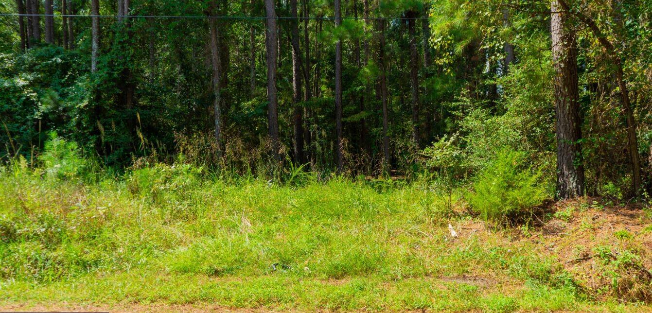 0 Eastview Road Edgefield, SC 29824 - Photo 7 of 7 7