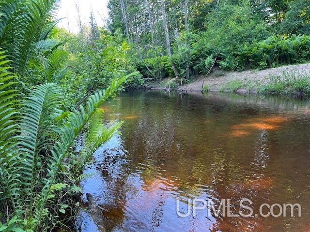 11.6 Acres Off Remington Road Marquette, MI 49855 - Photo 26 of 39
