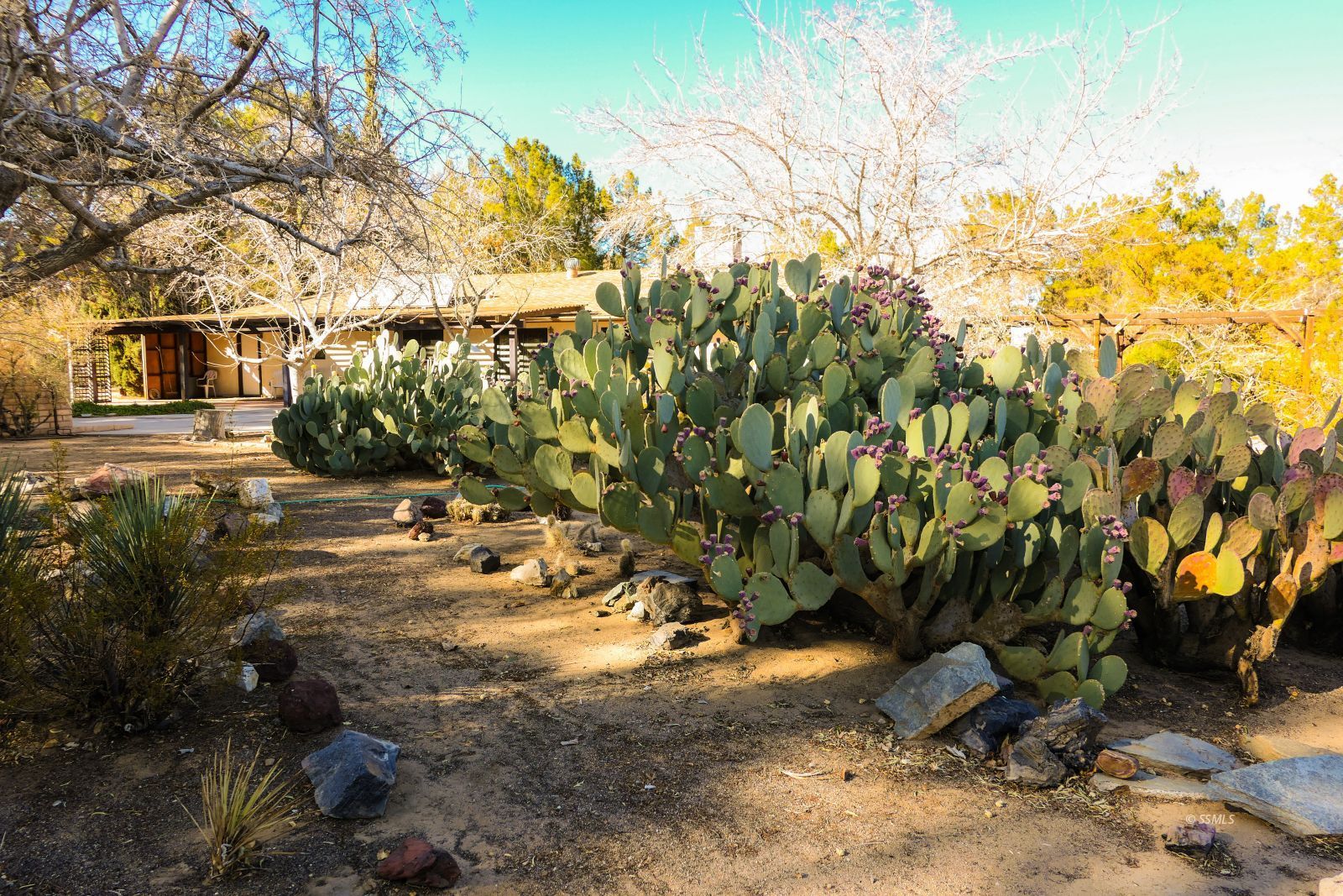 1559 Weiman Avenue Ridgecrest, CA 93555 - Photo 40 of 50 Gallery Image 40