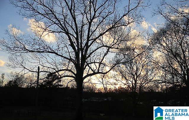 151 Glenn Road Wilsonville, AL 35186 - Photo 26 of 34