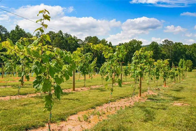 a view of an outdoor space with a lake view