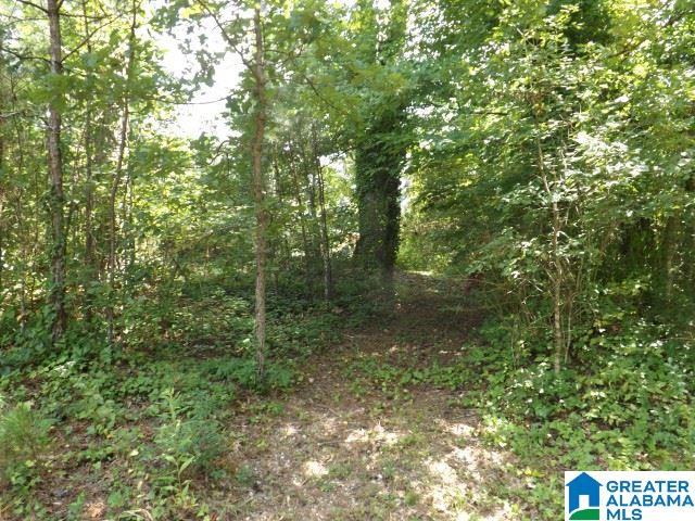 0 Shoal Creek Road Ashville, AL 35953 - Photo 6 of 25