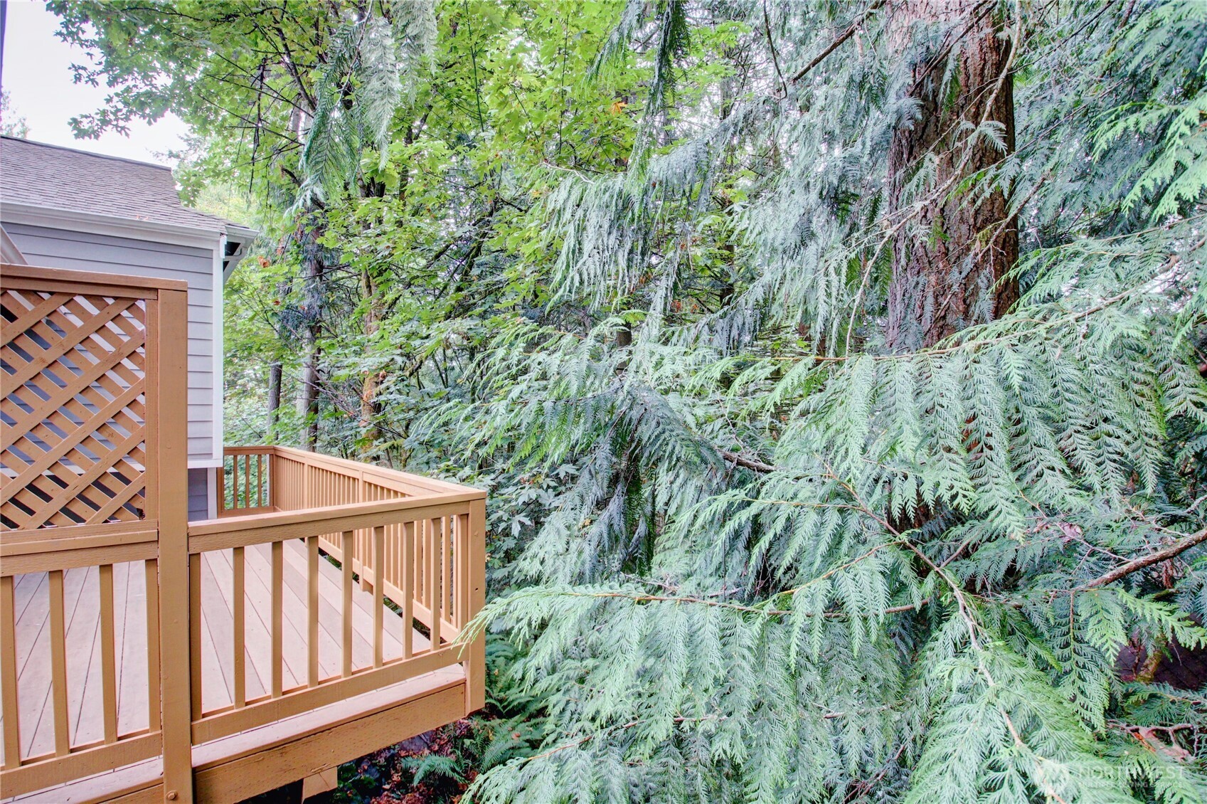 31 Green Hill Road Bellingham, WA 98229 - Photo 16 of 40 Gallery Image 16