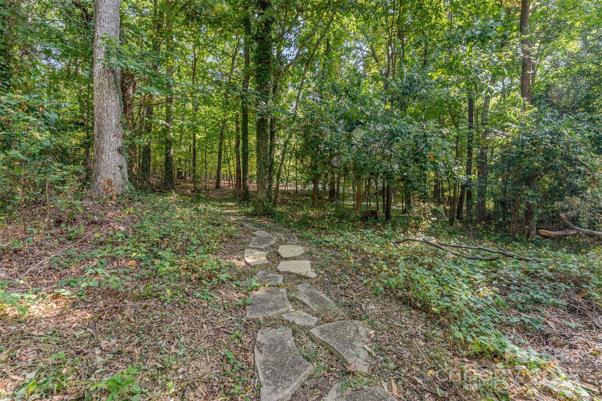743 Pineborough Road Charlotte, NC 28212 - Photo 30 of 30 a big yard with lots of green space and tiles