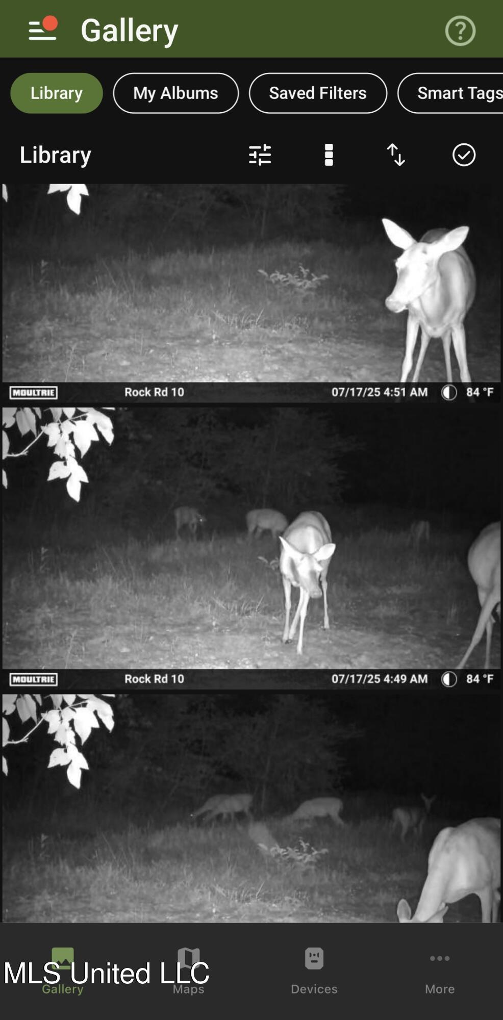 51 Rock Road Hattiesburg, MS 39401 - Photo 24 of 24 IMG_1105