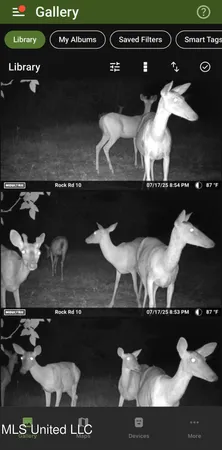 $225,000 | 51 Rock Road, Hattiesburg, MS 39401