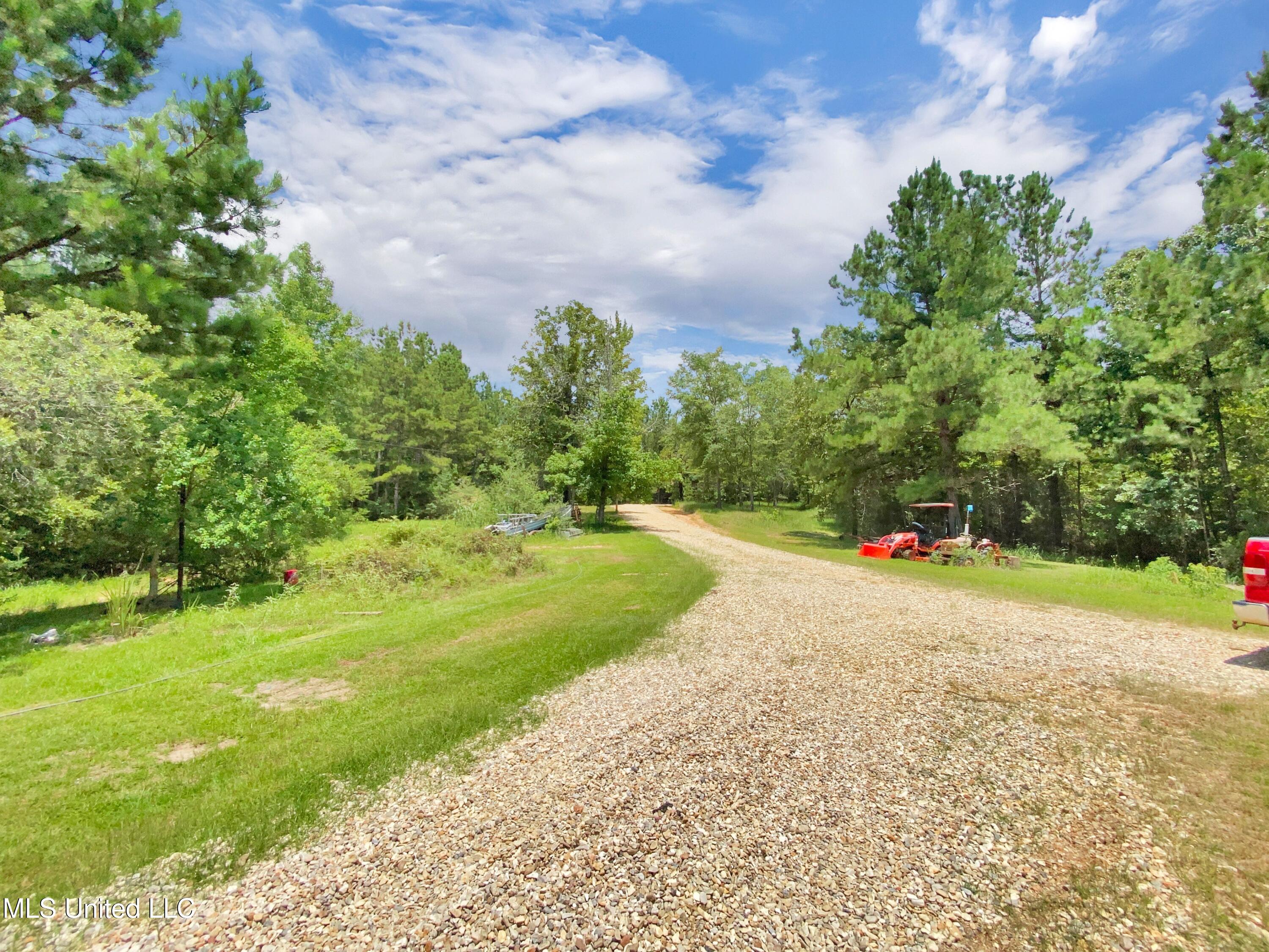 51 Rock Road Hattiesburg, MS 39401 - Photo 4 of 24 54e450b6-63eb-462c-919f-0f5dee20028b