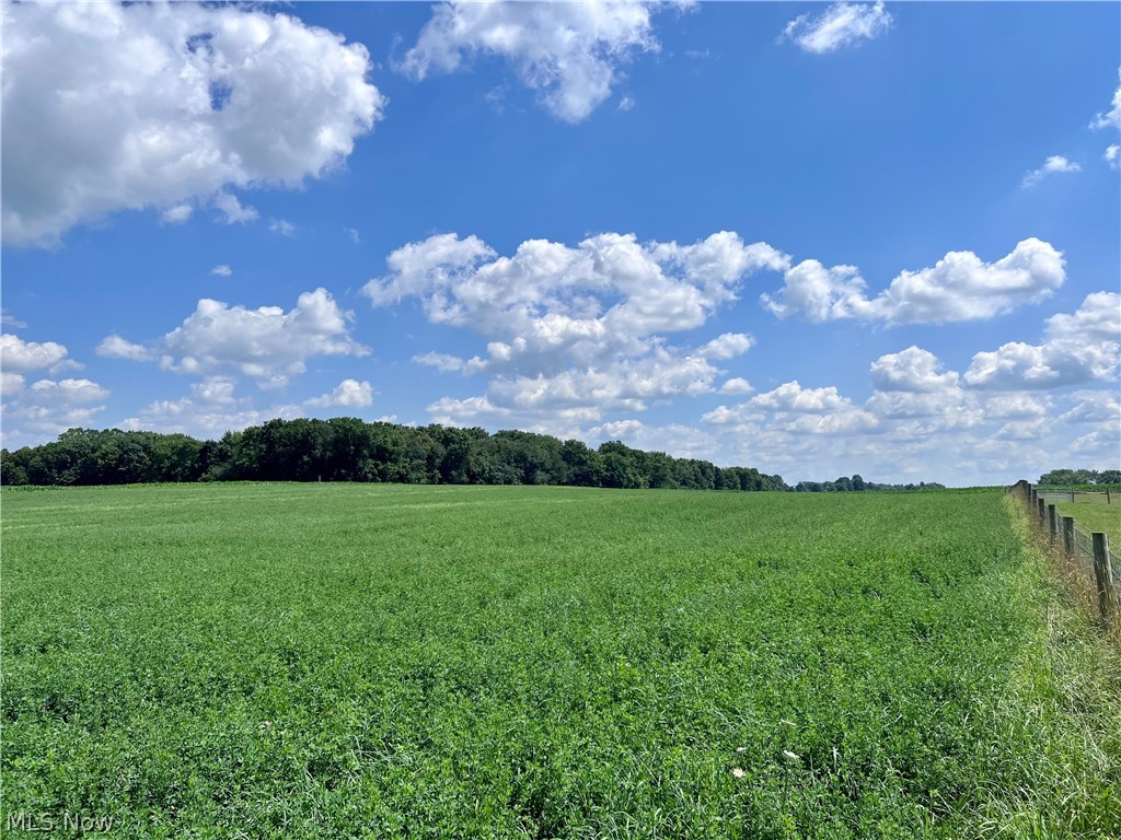 East Messner Road Apple Creek, OH 44606 - Photo 2 of 17