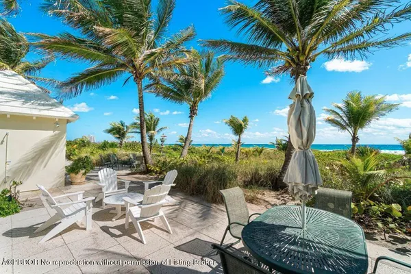 a view of a backyard with plants and a patio