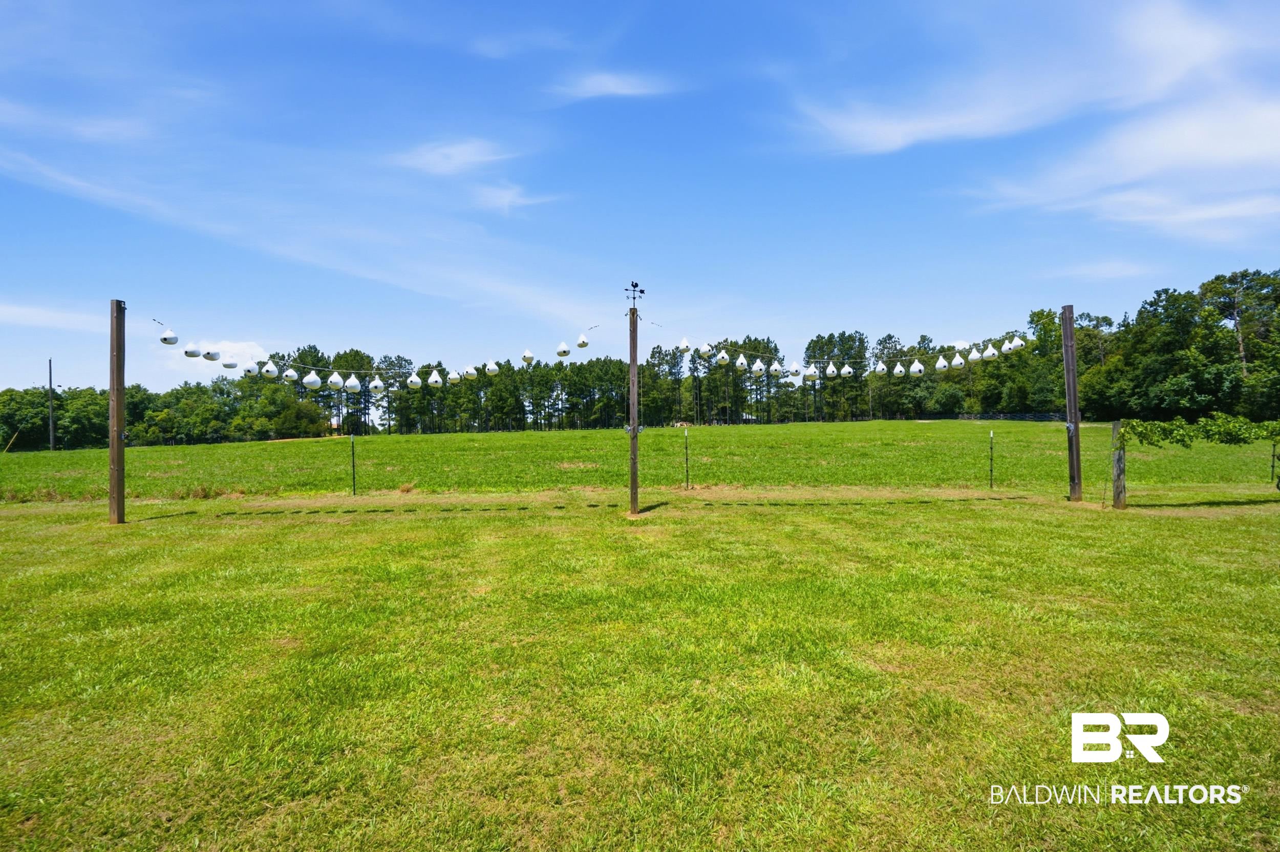 15855 Calvin Richerson Road Bay Minette, AL 36507 - Photo 74 of 83 Expansive green lawn with mature trees bordering a field