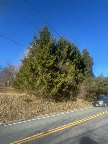 $115,000 | 927-943 Briscoe Road, Swan Lake, NY 12783