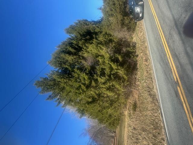 927-943 Briscoe Road Swan Lake, NY 12783 - Photo 11 of 13 a view of a yard from a window